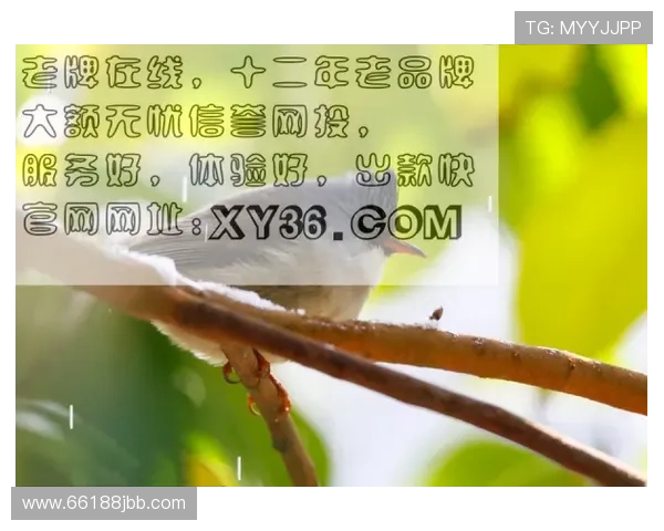 在线博彩：如何识别和避免虚假博彩公司网址